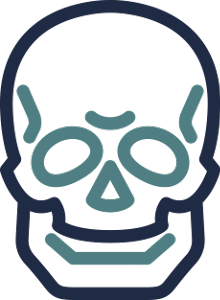 Scull icon