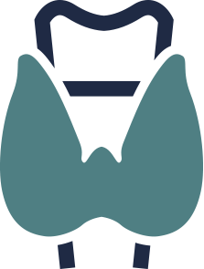 thyroid glands icon