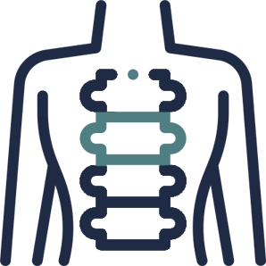 thoracic spine icon