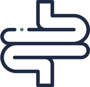 intestines icon