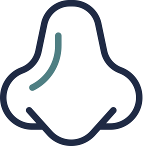 nose icon