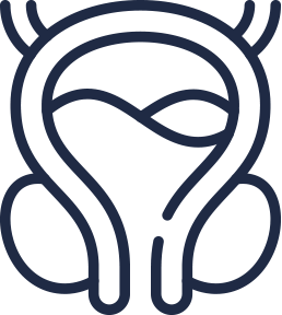 prostate