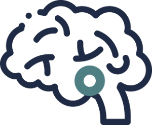 pituitary gland in brain