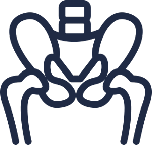 pelvis icon