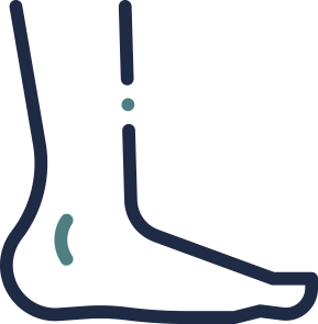 leg and calf icon
