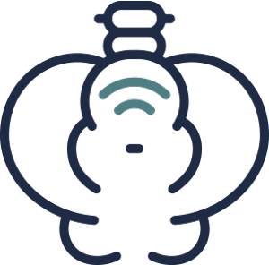 coccyx icon