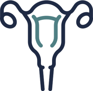 gynocology icon