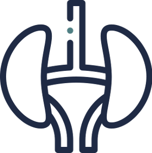 kidneys