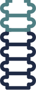 Cervical spine icon
