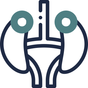 adrenal glands icon