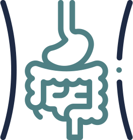 abdomen icon