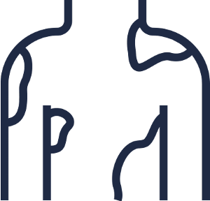 skin inflammation icon