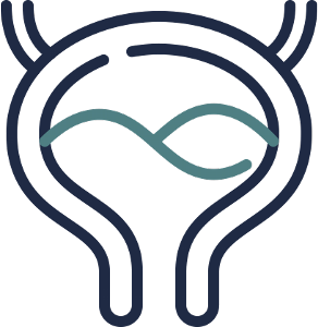 bladder icon
