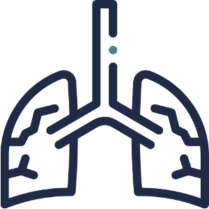 Lungs icon