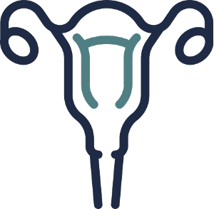 gynaecology icon