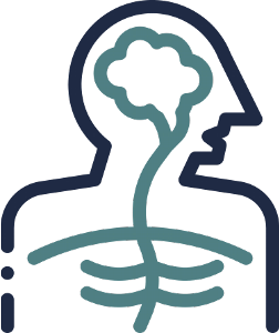 internal human body icon
