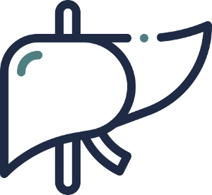 liver icon